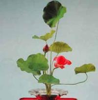 Exposición de Ikebana. "Mensaje Floral para la Esperanza"