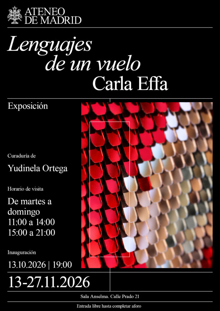 «Lenguajes de un vuelo». Carla Effa